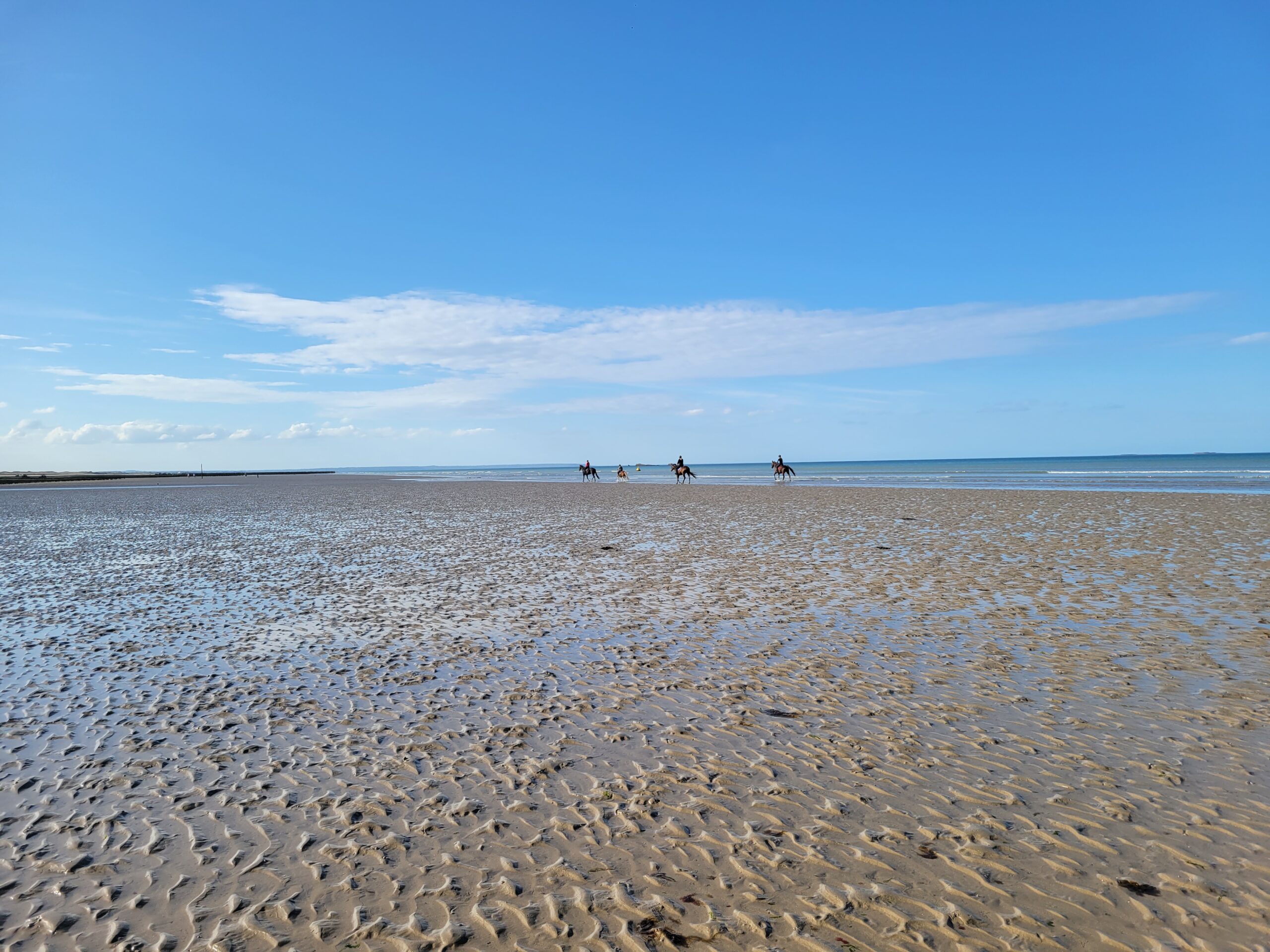 Plage Normandie chevaux