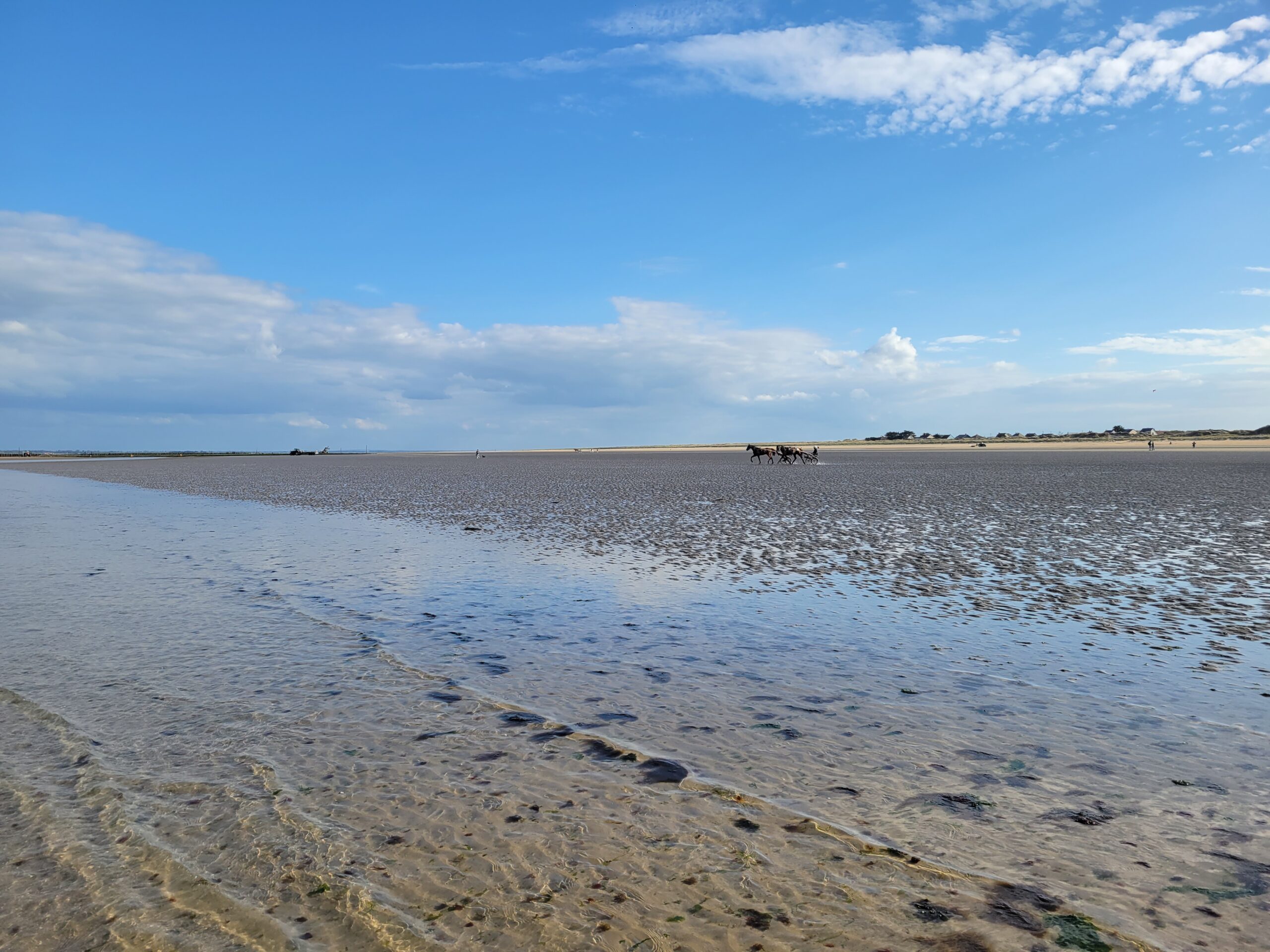 Plage à marée basse attelage